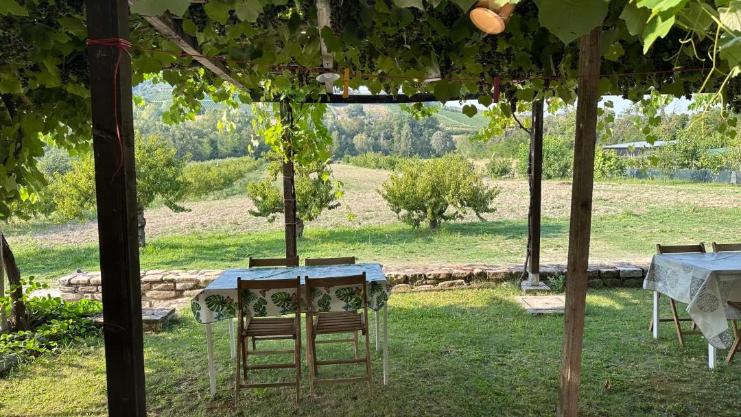 Photo of Others in Montalto delle Marche