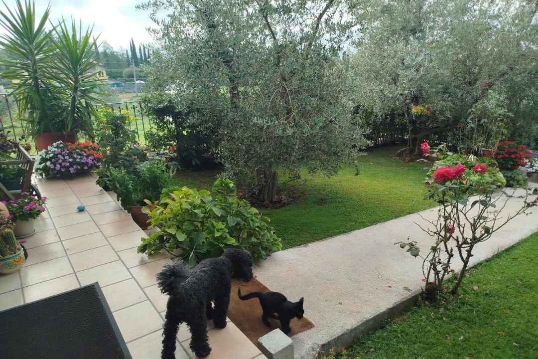 Photo of Others in Isernia