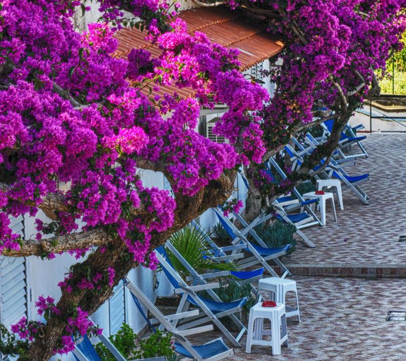 Photo of Others in Ischia Ponte