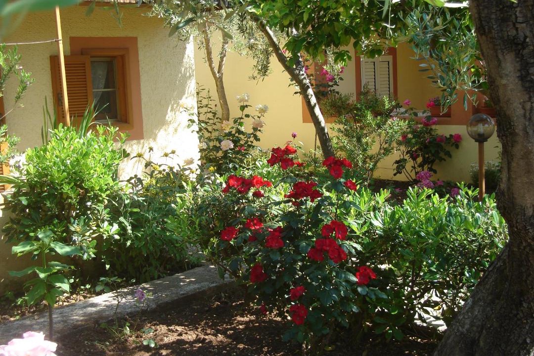 Photo of Others in Montincello