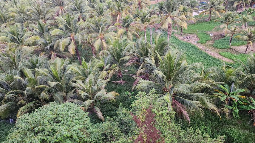Photo of Others in An Thoi