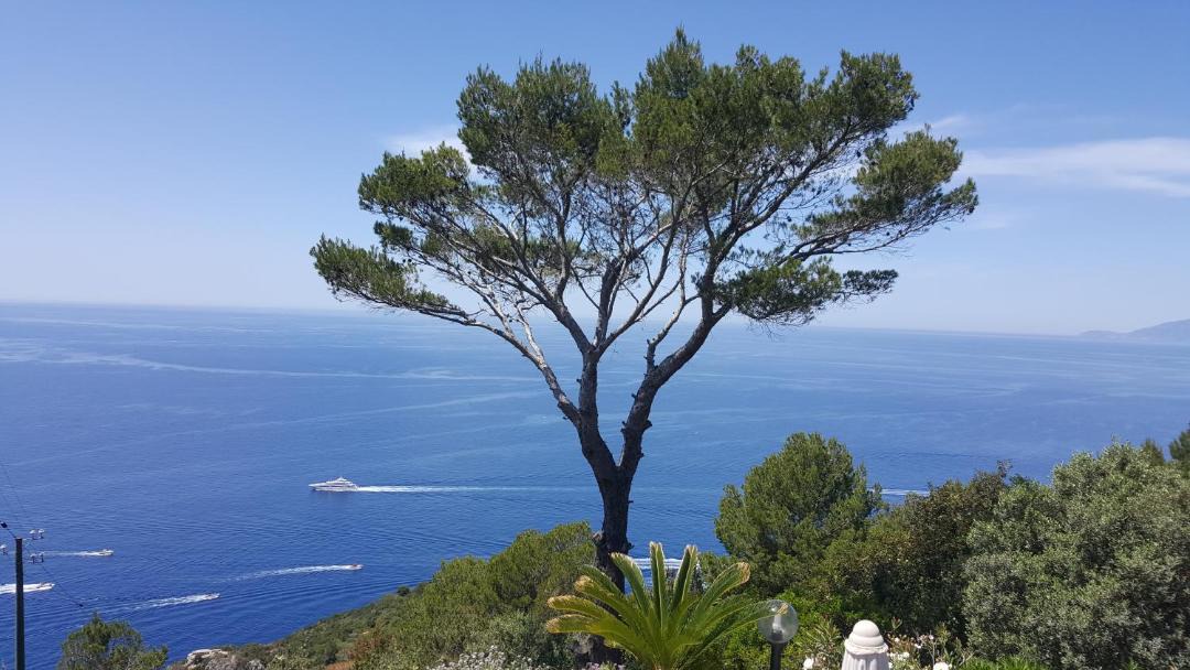 Photo of Others in Anacapri