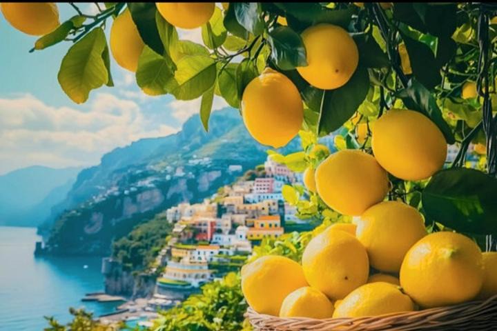Photo of Others in San Michele