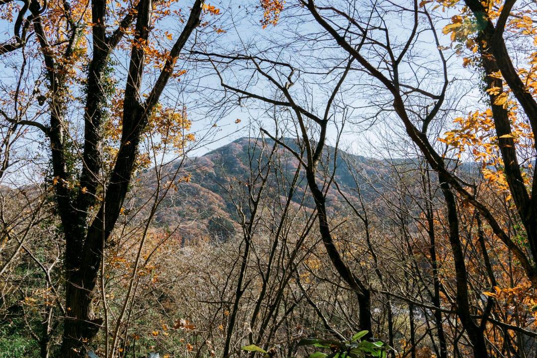 Photo of Outdoor in Nagatoro