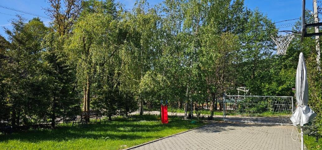 Photo of Outdoor in Oestii Paminteni