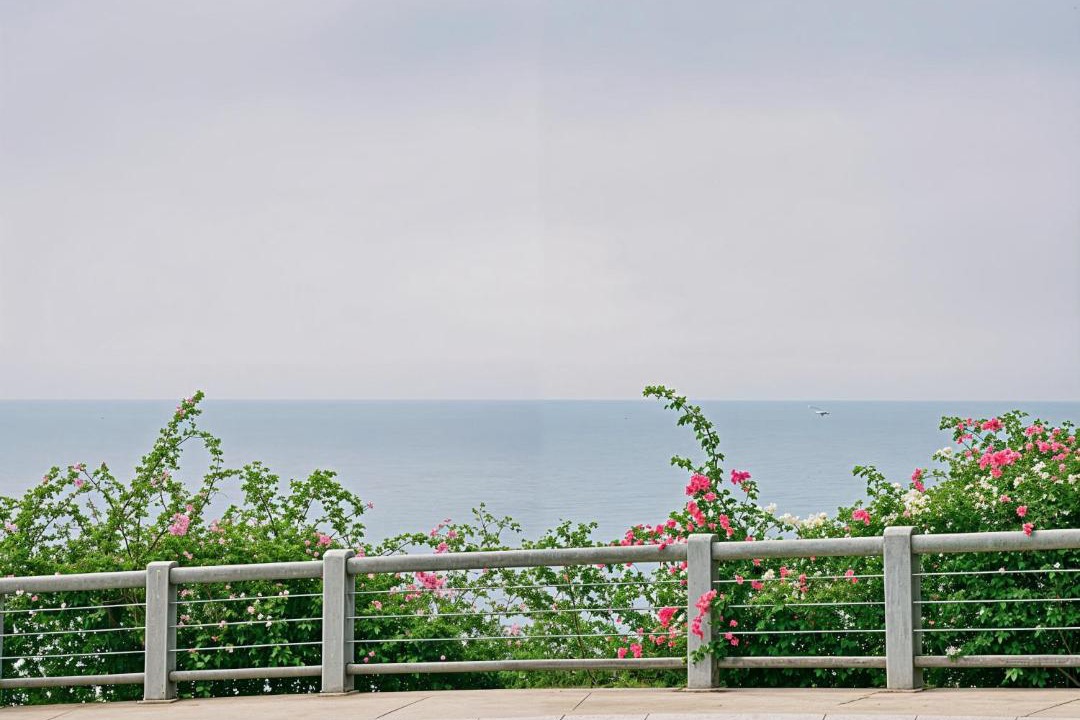 Photo of Others in Suoi Nuoc Beach