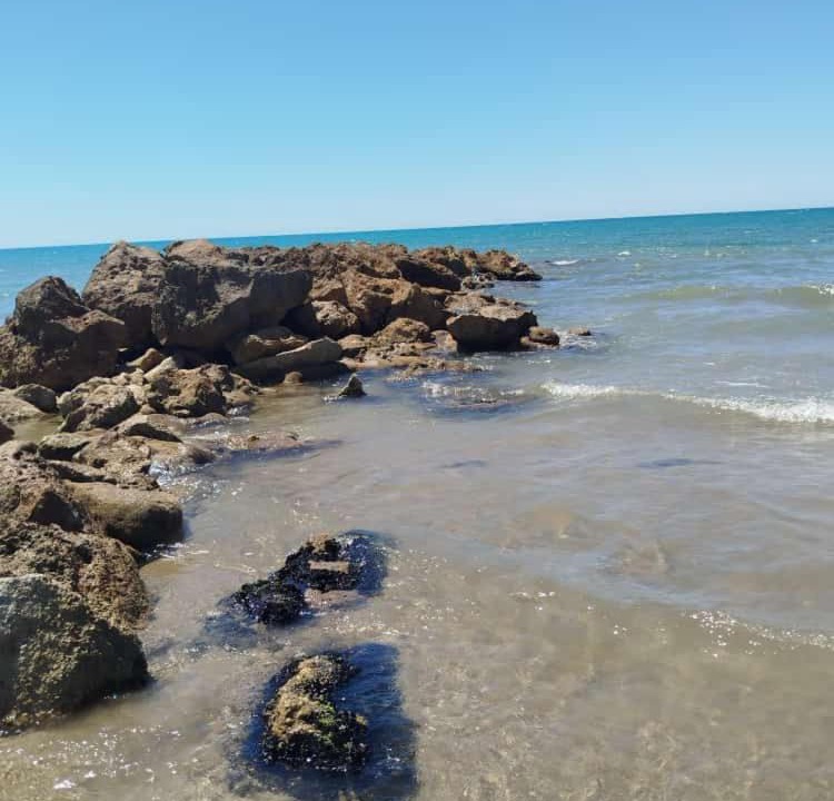 Photo of Others in Ladispoli