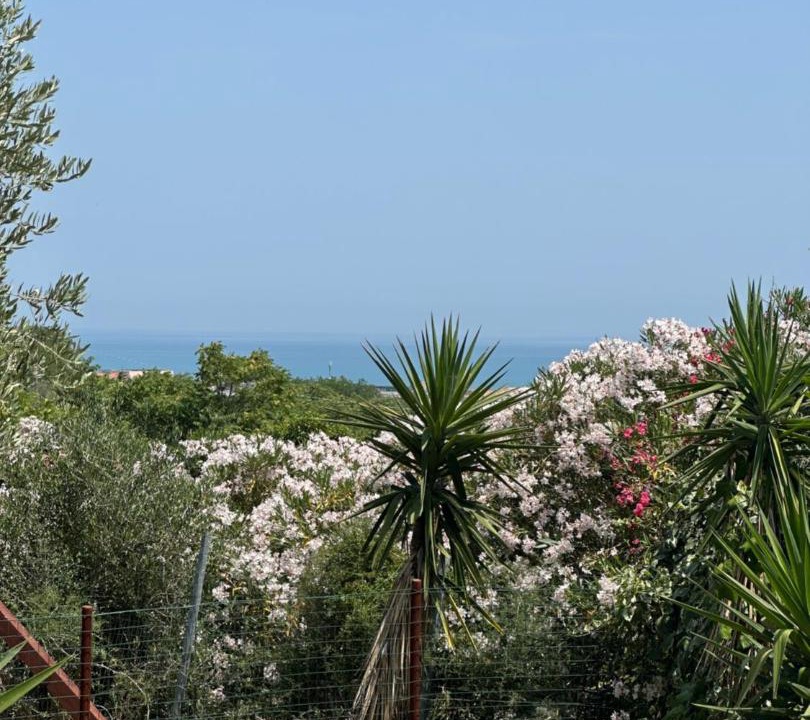 Photo of Others in Termoli
