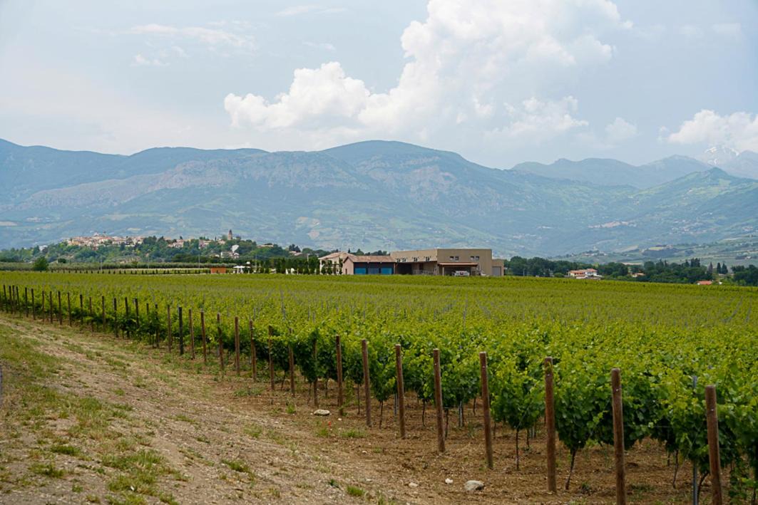 Photo of Others in Catignano