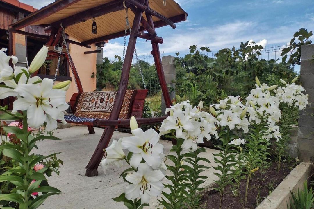 Photo of Outdoor in Ocna Sibiului