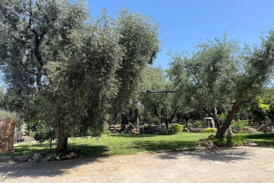 Photo of Others in Ischitella