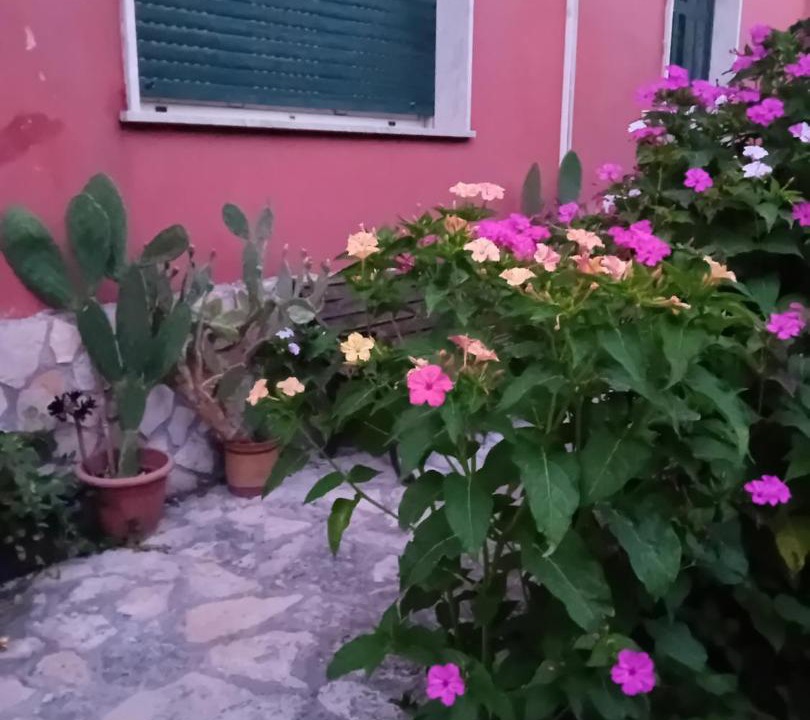 Photo of Others in San Giorgio a Liri