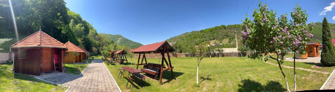 Photo of Others in Sasciori