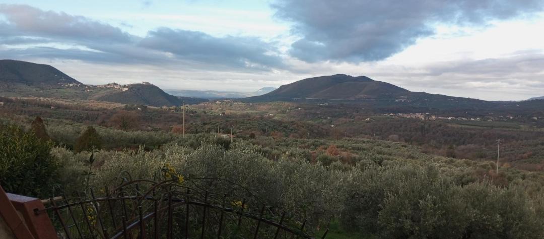 Photo of Others in Scandriglia