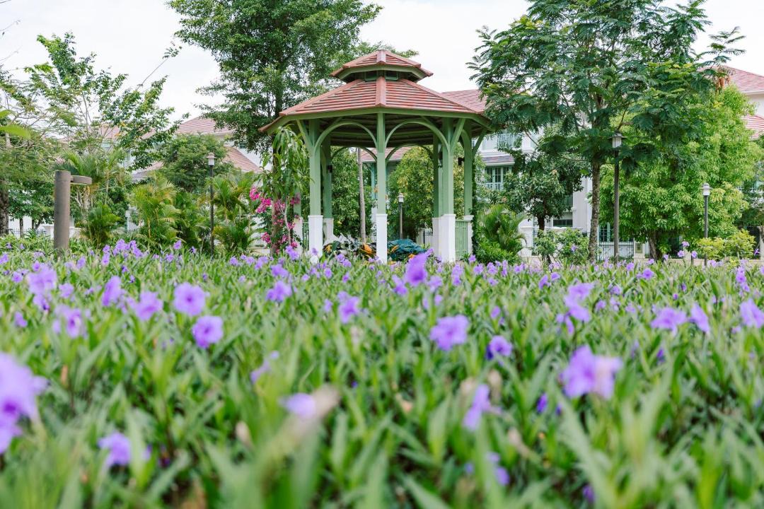Photo of Outdoor in An Thoi