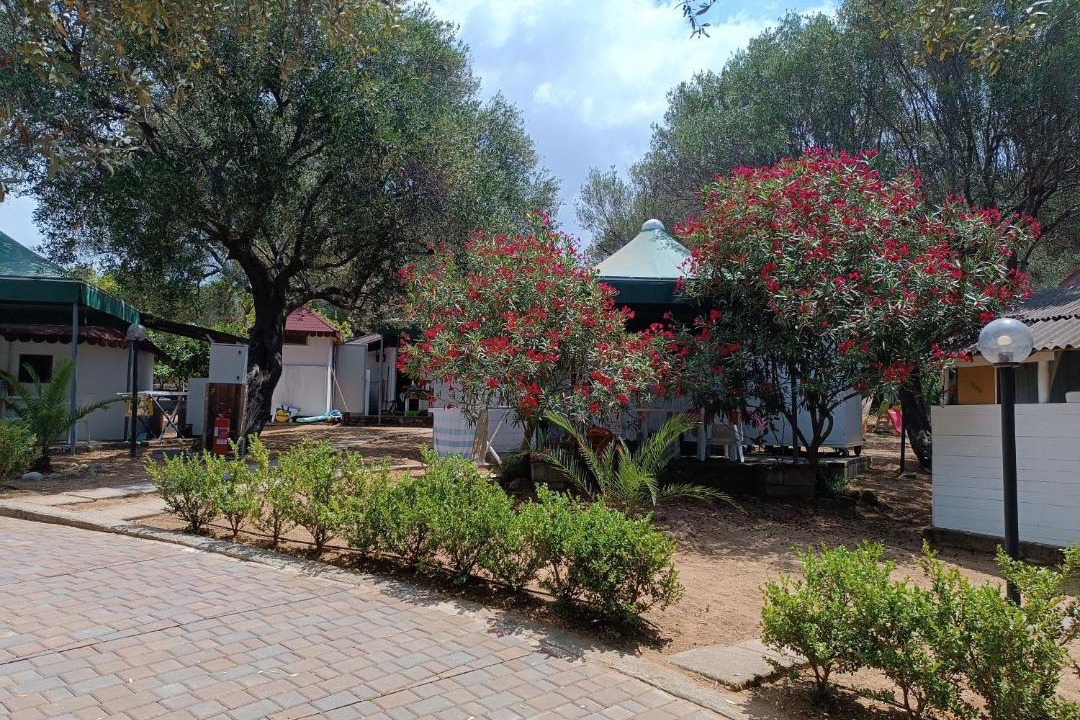 Photo of Others in Palinuro