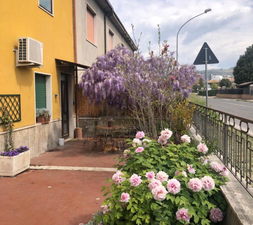 Photo of Others in Arpino