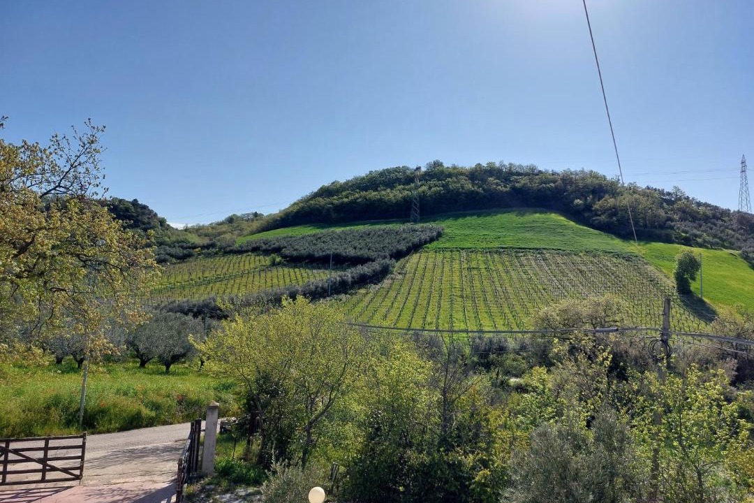 Photo of Others in Rosciano