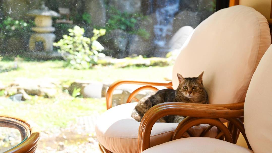 Photo of Others in Shiobara-machi