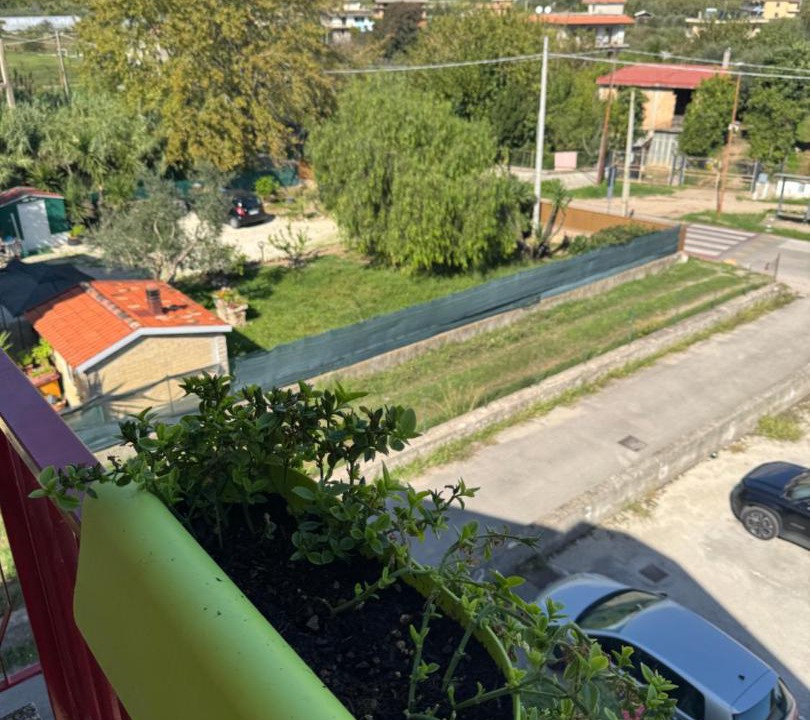 Photo of Others in Gianola