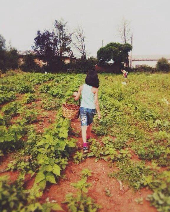 Photo of Others in Orte