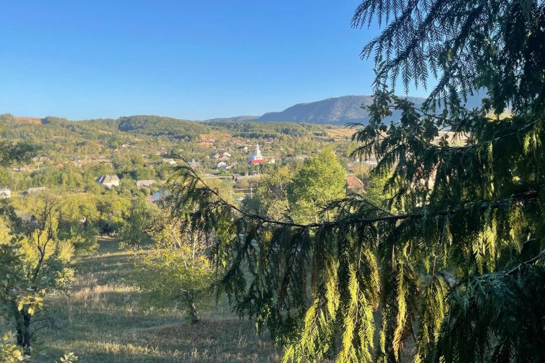 Photo of Others in Copalnic-Manastur