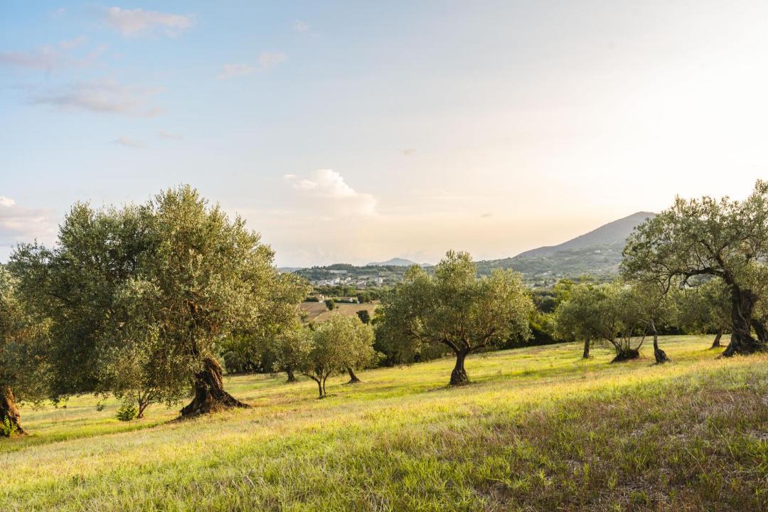 Photo of Others in Caiazzo