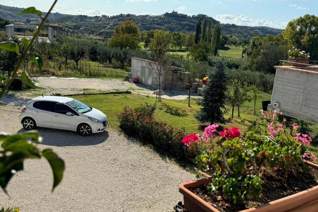 Photo of Others in Miglianico