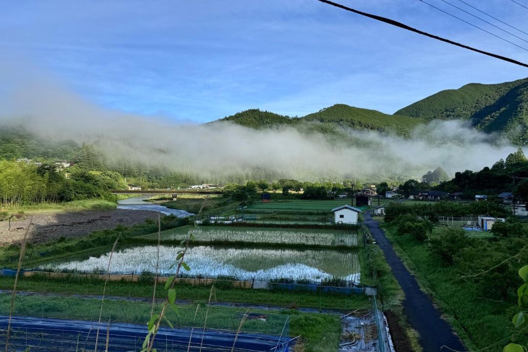 Photo of Others in Nakahechi