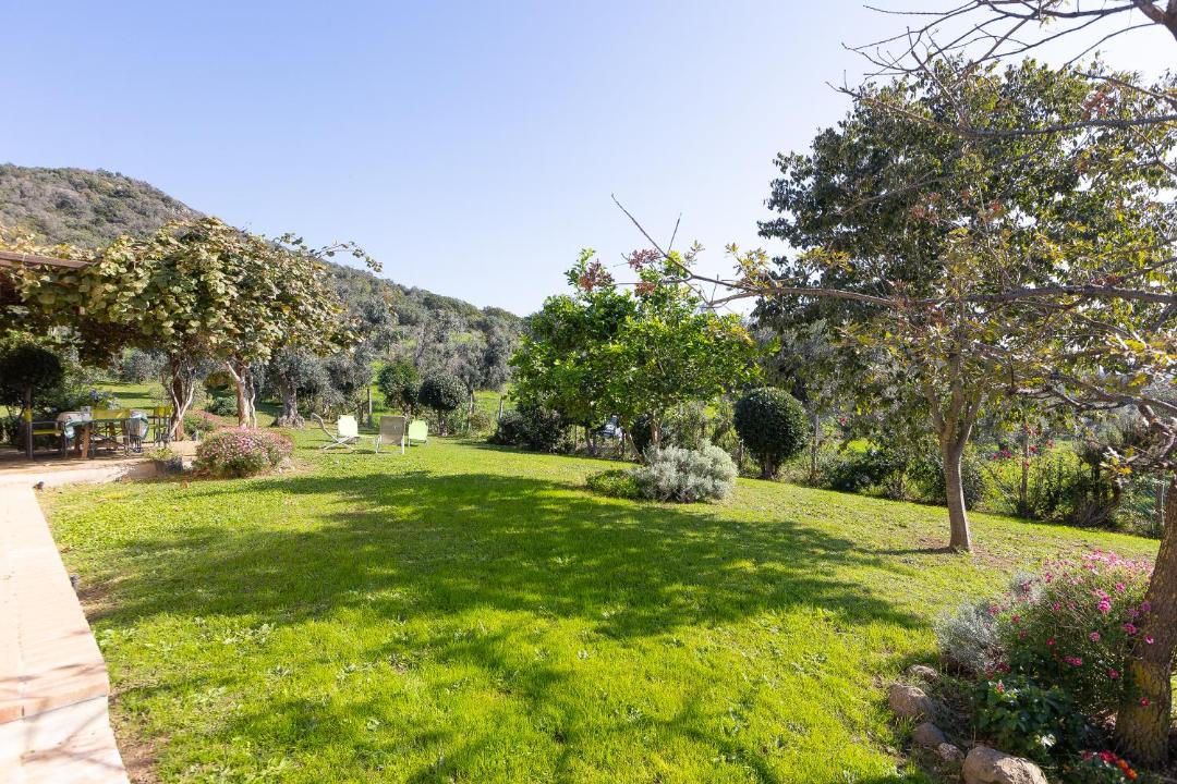 Photo of Others in Cerveteri