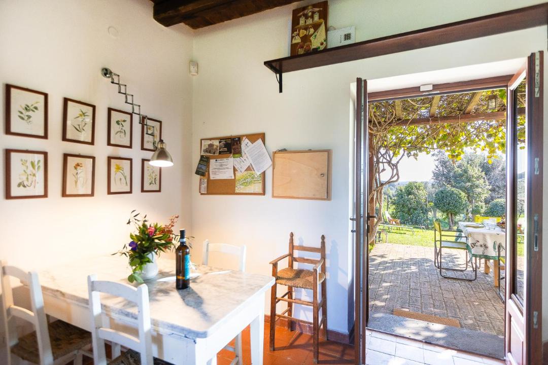 Photo of Others in Cerveteri