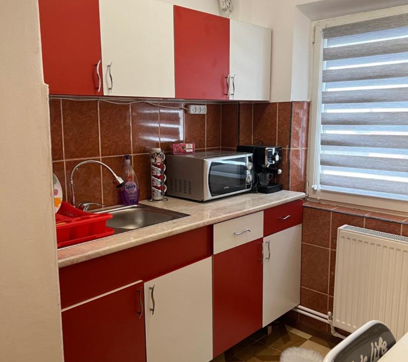 Photo of Kitchen in Lupeni