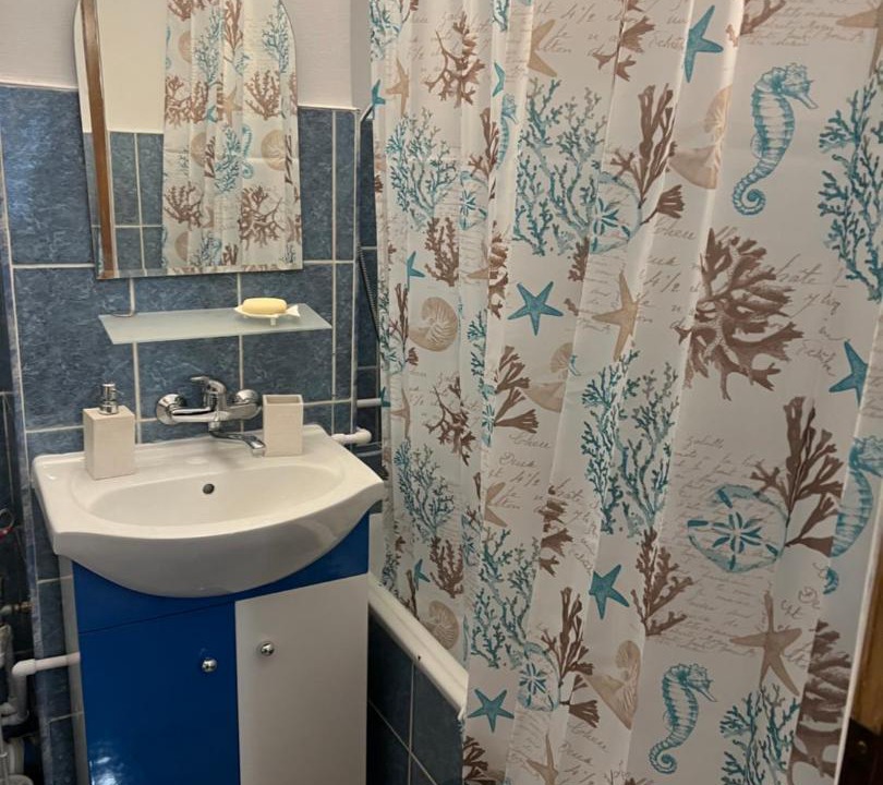 Photo of Bathroom in Lupeni