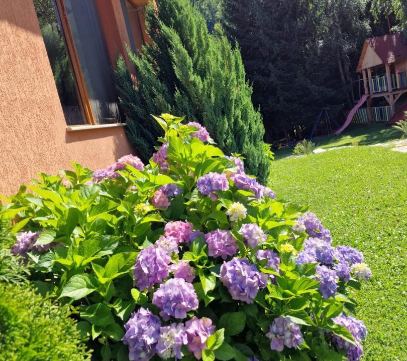 Photo of Outdoor in Lisa