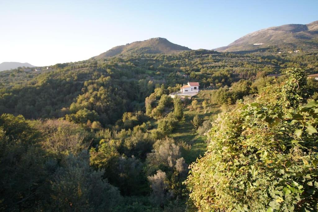 Photo of Others in San Vittore del Lazio