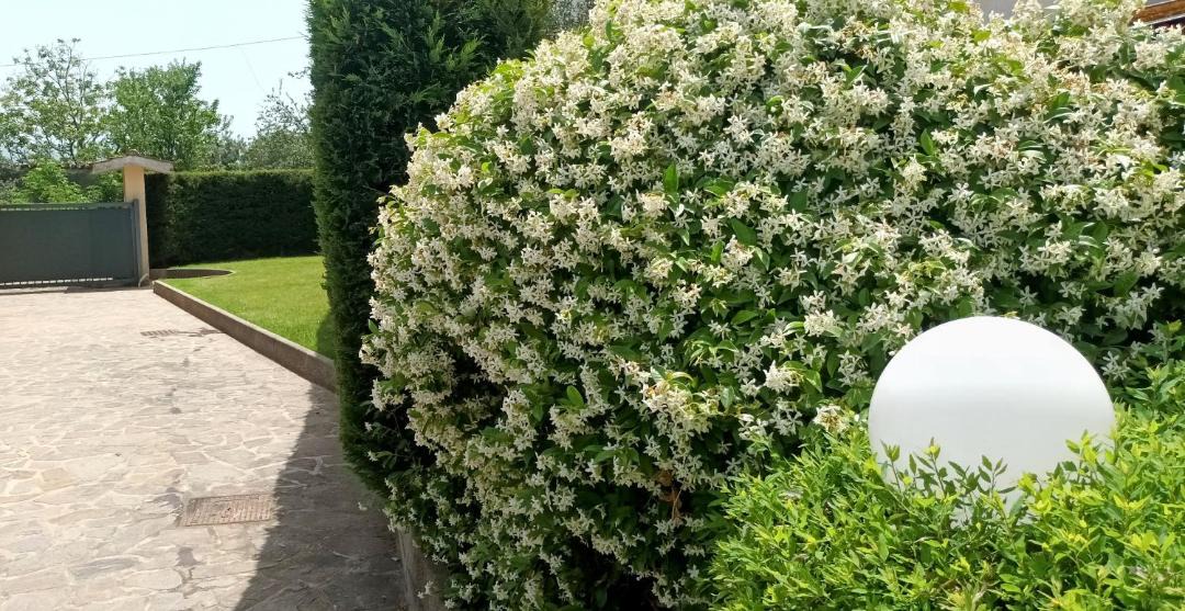 Photo of Outdoor in Marano Marchesato