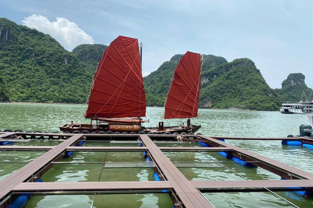 Photo of Others in Ha Long