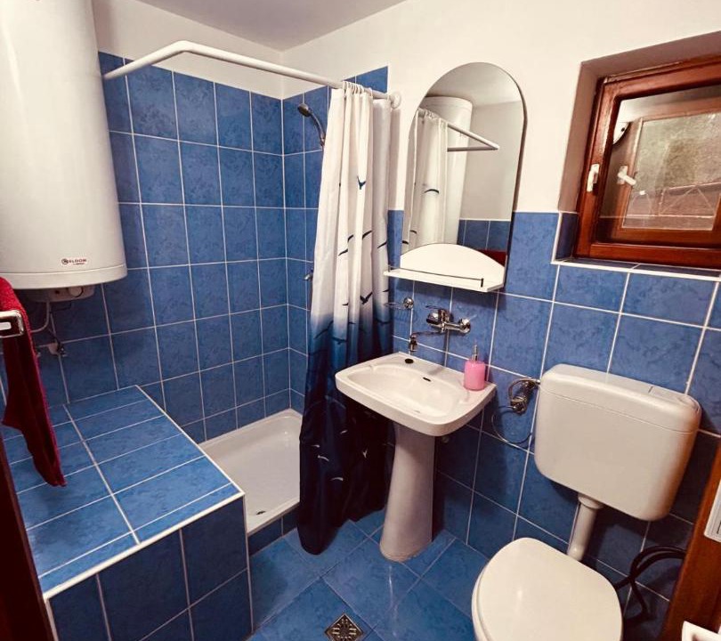 Photo of Bathroom in Bradut