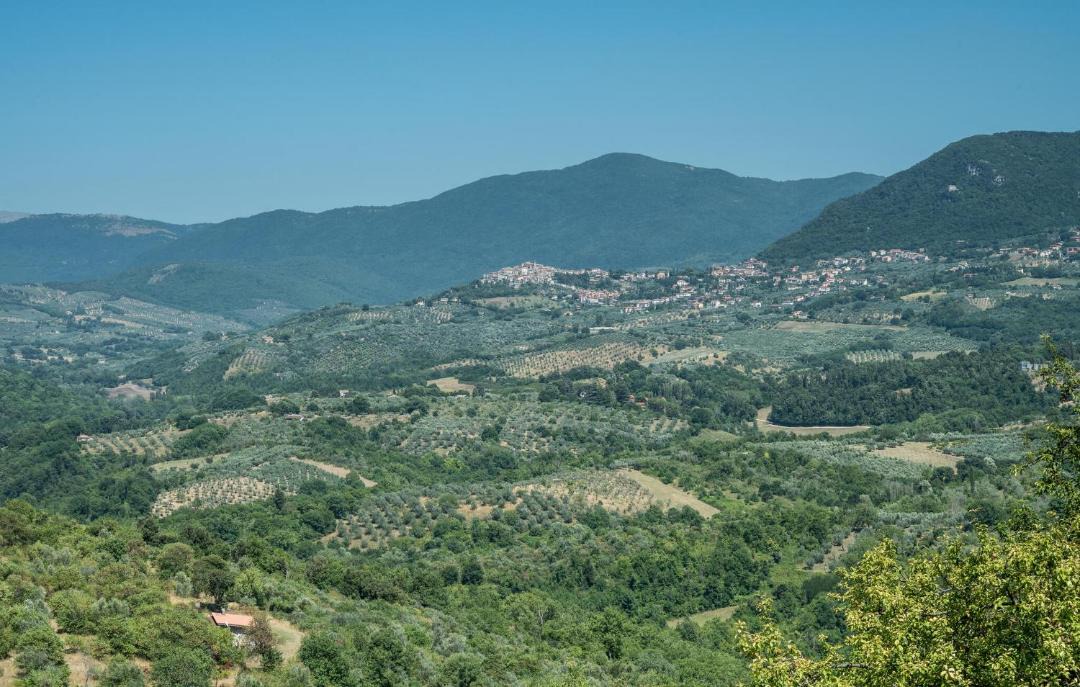 Photo of Others in Nerola