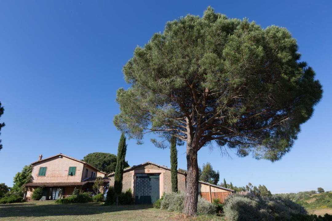 Photo of Others in Tuscania