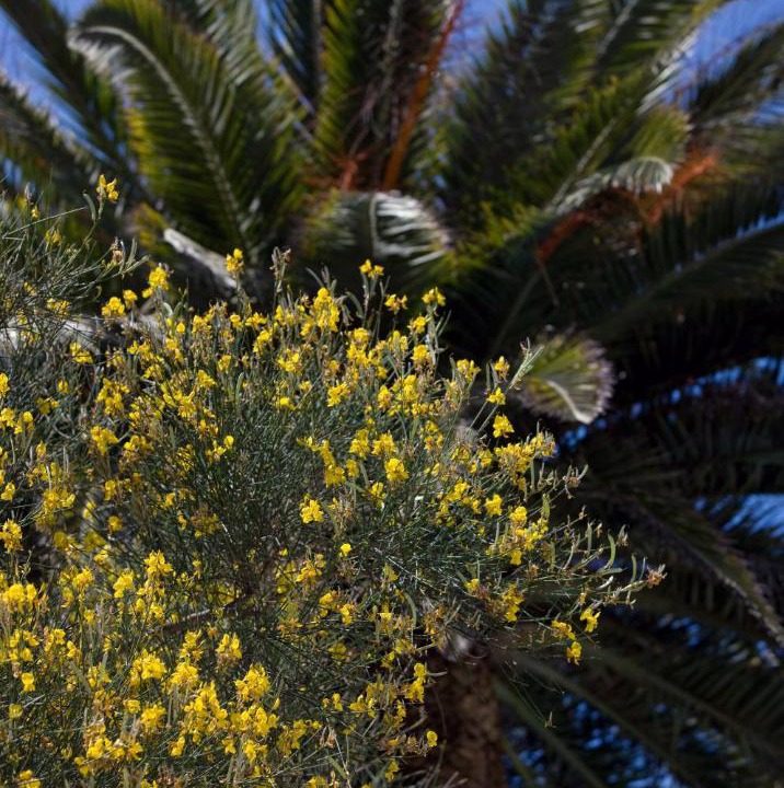 Photo of Others in Tiberio