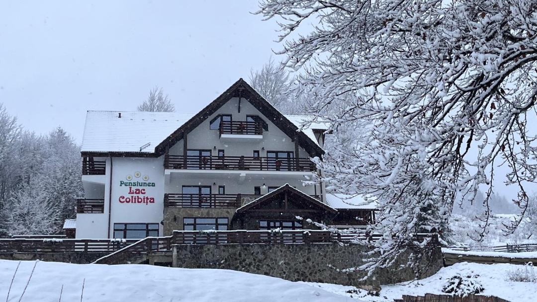 Photo of Others in Colibita