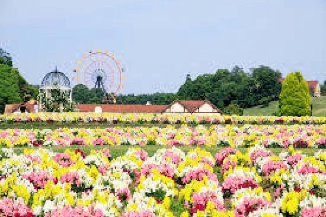 Photo of Others in Kisarazu