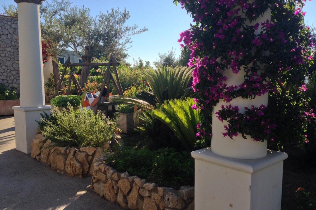 Photo of Others in Anacapri