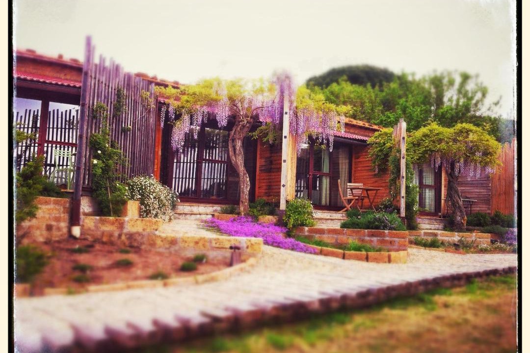 Photo of Others in Tuscania