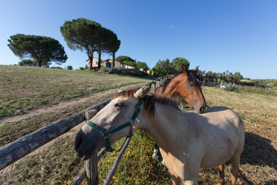Photo of Others in Tuscania