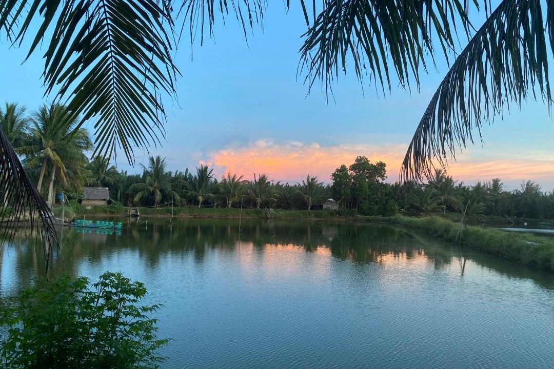 Photo of Others in Cam Thanh