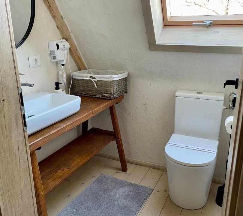 Photo of Bathroom in Budesti