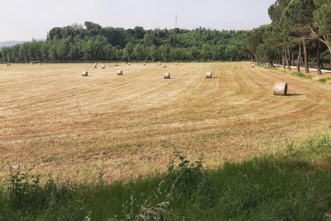 Photo of Others in Valmontone