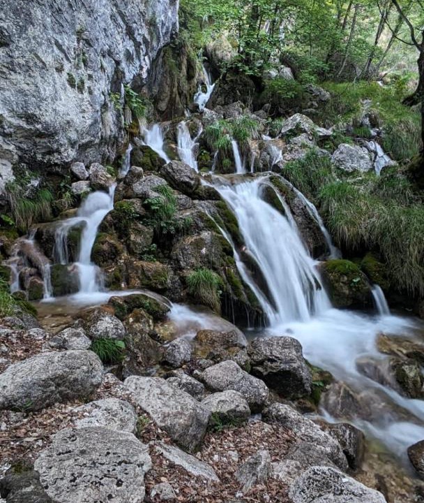 Photo of Others in Morino